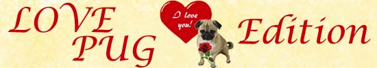 Valentinstag Mops