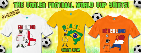 Football World Cup Collection 2014