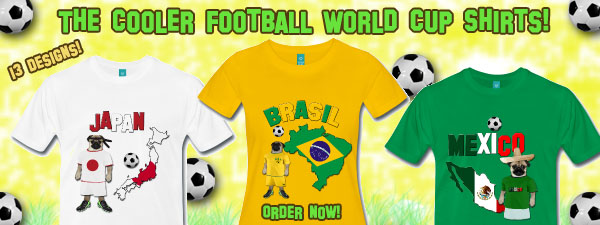 football world cup collection 2014